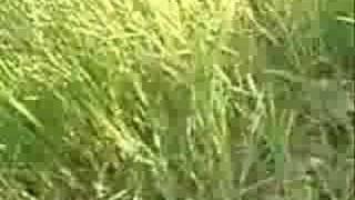 Zondag Morgen Op De Autobaan