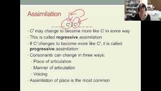 English Phonology Lecture 5 (2): Aspects of connected speech