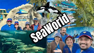 Our Ultimate Seaworld Experience Soaked Seats Sweet Memories Parents Usa Trip Day 10