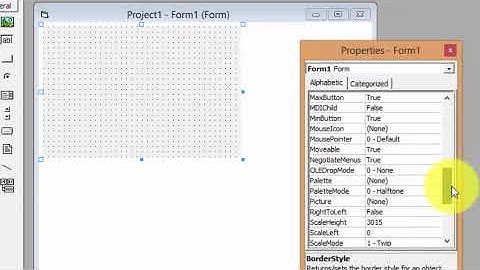 VB Tutor how to remove border and control box of form