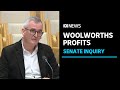 Woolworths ceo brad banducci grilled in senate inquiry into price gouging  abc news