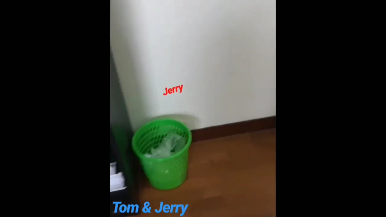 Tom and Jerry in real life :) #shorts #MyBloopers - YouTube