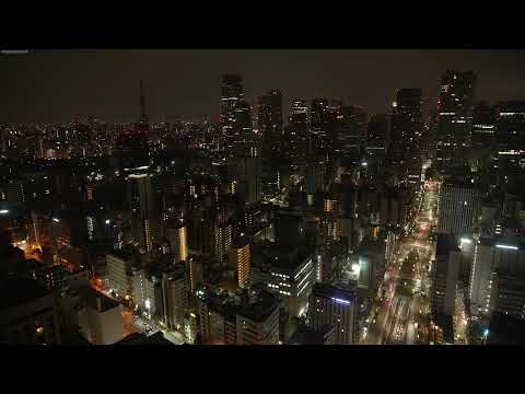 Shiodome & Tokyo Tower City View live cam preview