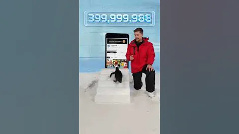 Can l teach the penguin to subscribe #mrbeastshorts #mrbeast #mrbeastchallenge #mrbeasthindi