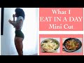 WHAT I EAT IN A DAY | 2 WEEK MINI CUT | CUTTING FOR CABO