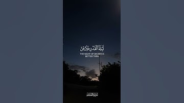 القارئ ياسر الدوسري | سورة القدر