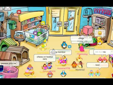 Come ottenere un Wammy su clubpenguin