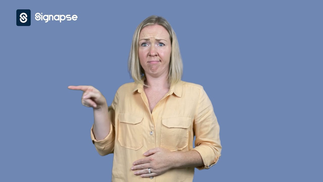 Addressing the Challenges of Sign Language Interpretation