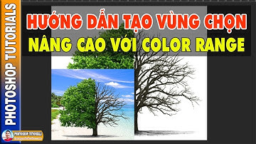 Hướng Dẫn Tạo Vùng Chọn Nâng Cao Với Color Range 🔴 MrTriet Photoshop Tutorials
