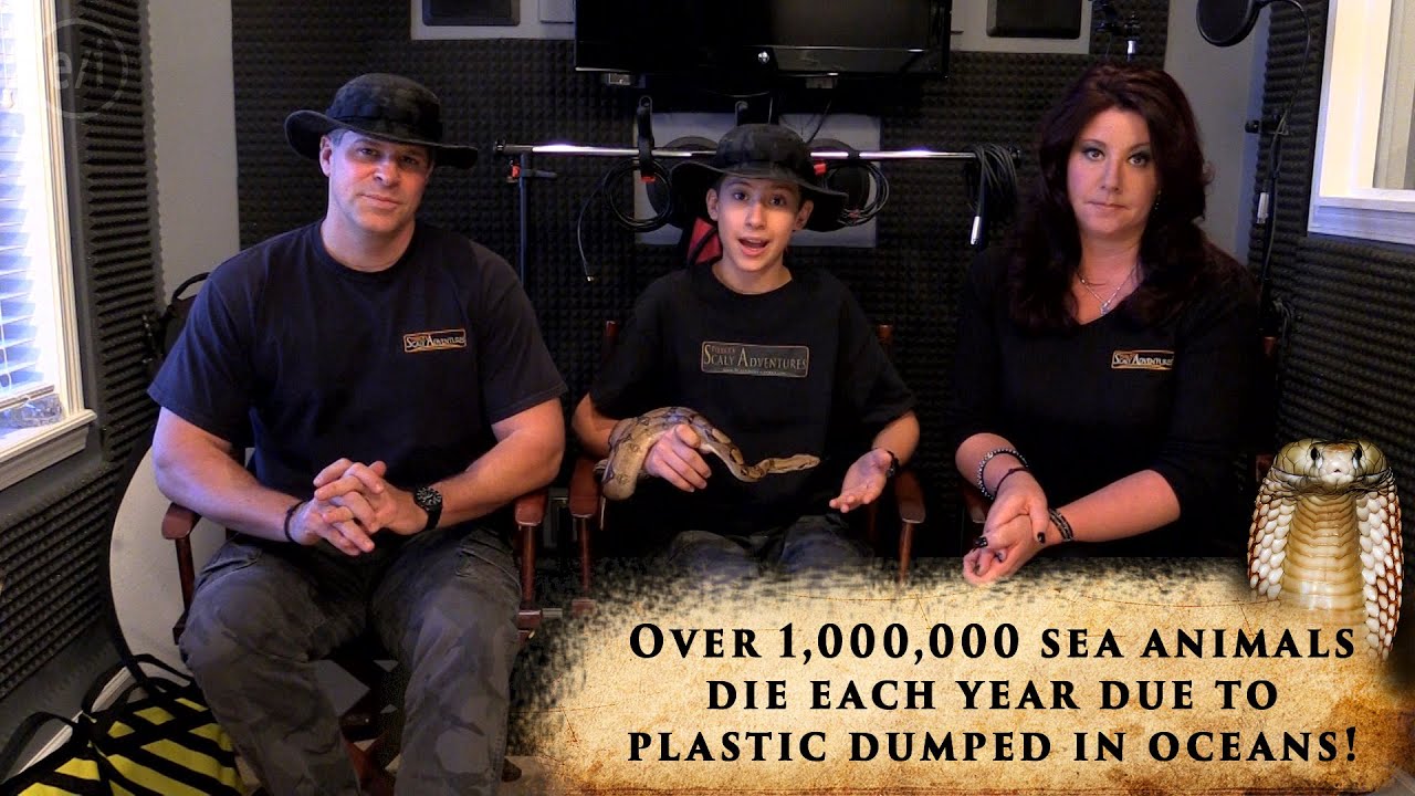 family friendly resorts Conservation Message From The Scaly Crew
