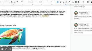 Evolution Study Guide.docx - Google Docs