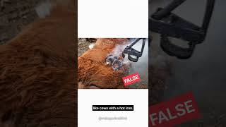 Lies About That People Think Are True Part 1
