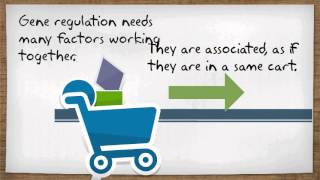 Association rule mining