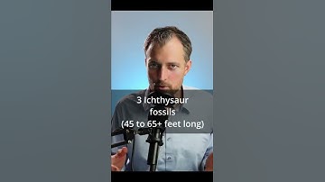 SHOCKING! Is there evidence for a global flood (in the past)? #shorts