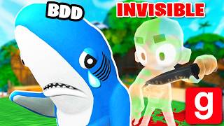 JE DEVIENS UN TUEUR TRICHEUR pour TROLL BDD et KOCO !! (Gmod)