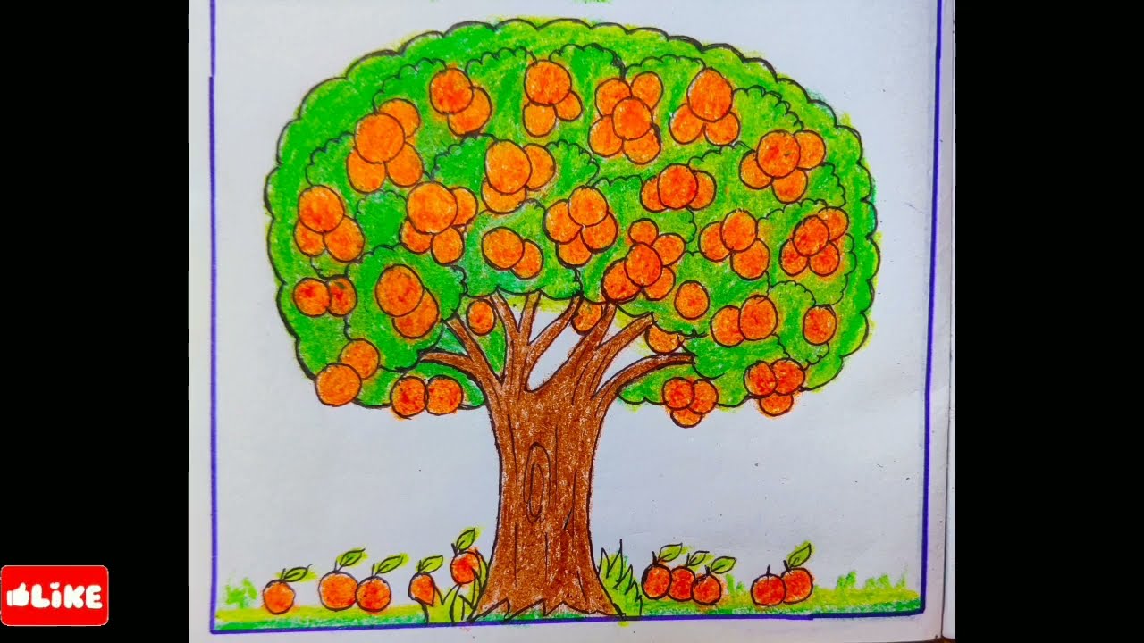 Orange Tree Vector Images (over 200,000)