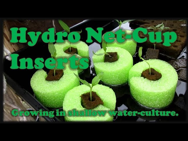 Hydroponic Net-Cup Inserts 