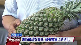 台農16號鳳梨甜蜜蜜稍轉黃就可食用20200622 公視中晝新聞 