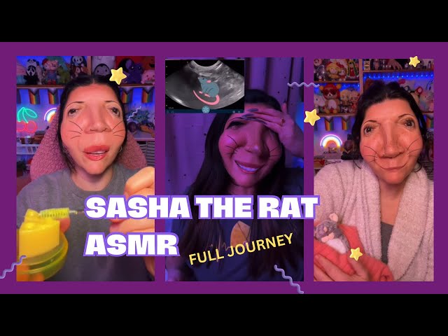 Sasha, the rat ASMR - Full TikTok compilation