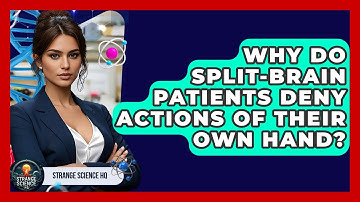 Why Do Split-brain Patients Deny Actions Of Their Own Hand? - Strange Science HQ
