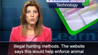 English For You | Technology Report [Using Drones To Save Animals]