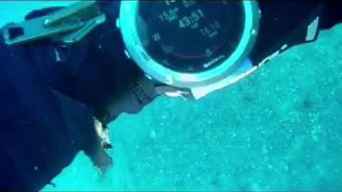 Garmin Fenix 5 & Fenix 3 IQ Dive Computer - www.diveiq.com