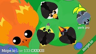 A Quick Comeback | Mope.io Live 133 CXXXIII | [TB] Teddy Bear
