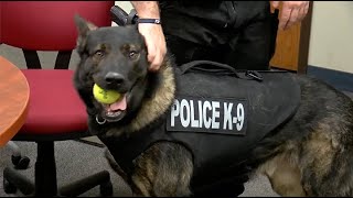Clinton Police K9 Griz receives protective vest