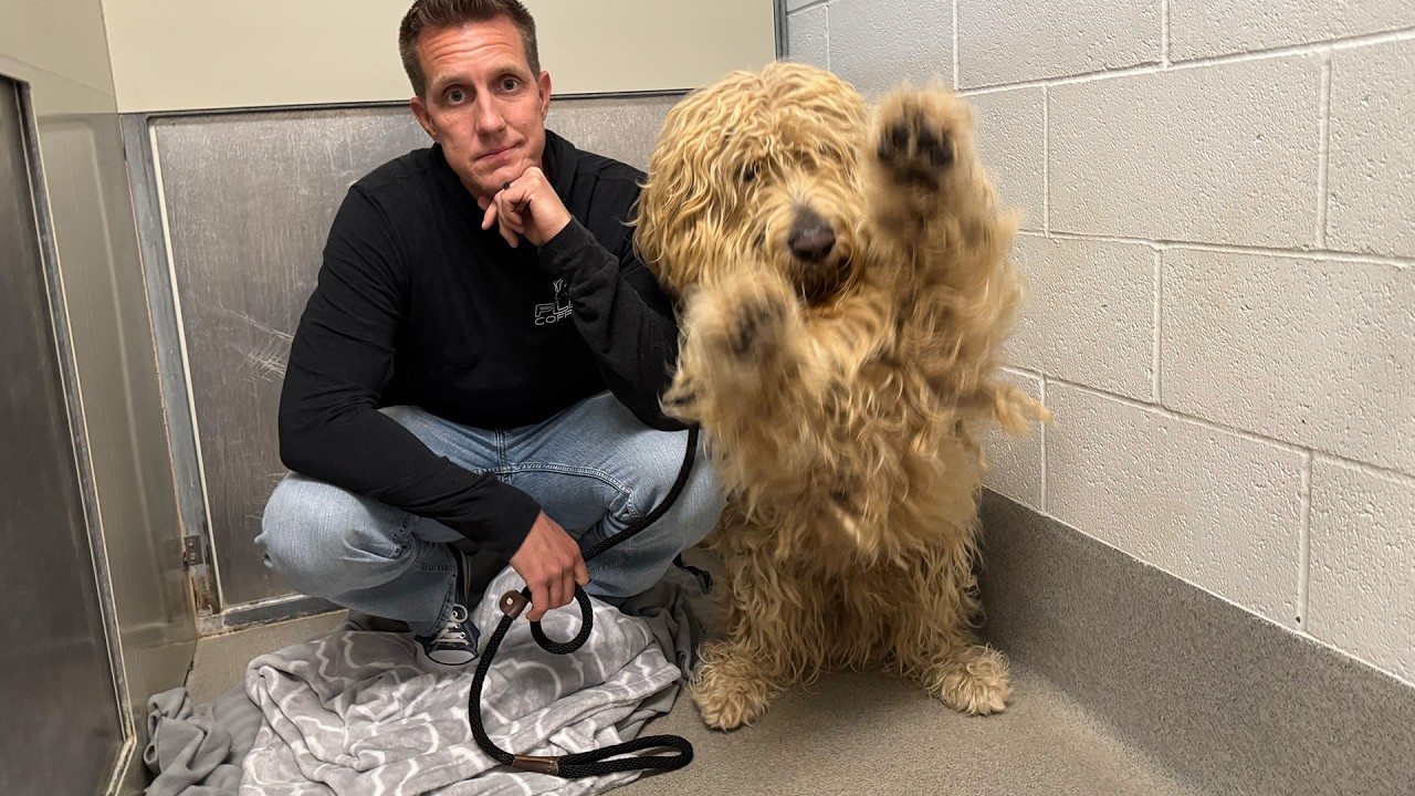 I Guessed This Shelter Dog's Name…Watch His Emotional Reaction 💔