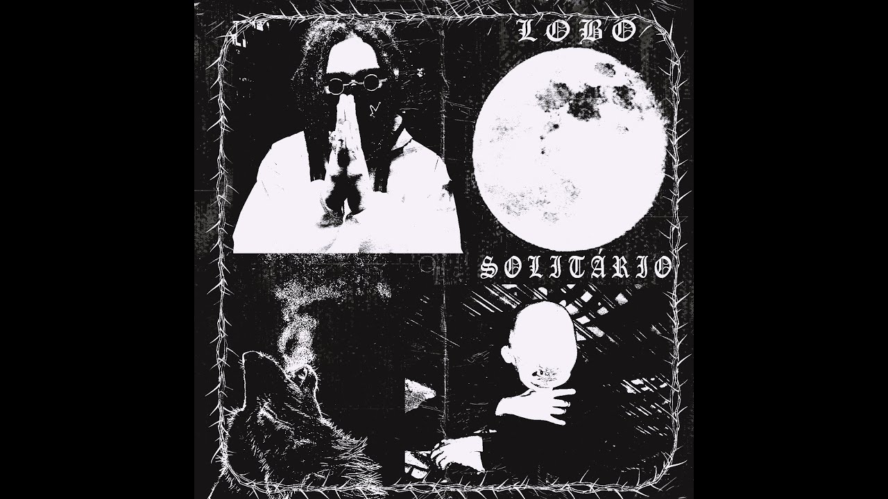 DVNTV$ X BOB LEAL - LOBO SOLITÁRIO | VISUALIZER OFICIAL |