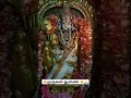 🍁முருகன் துணை 🍁 Tamil god murugan songs 🦚🦚 #shortsfeed #shorts #murugansongs #murugan