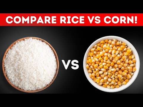 Kalori Jagung Vs Nasi Putih