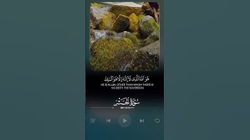 هو الله الذي لا اله الا هو الملك#قران_كريم #سورة_الحشر #ستوريات #حالات_واتساب