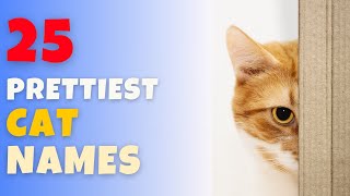 What is the Prettiest Name for a Cat [Our Top 25 Ideas ]