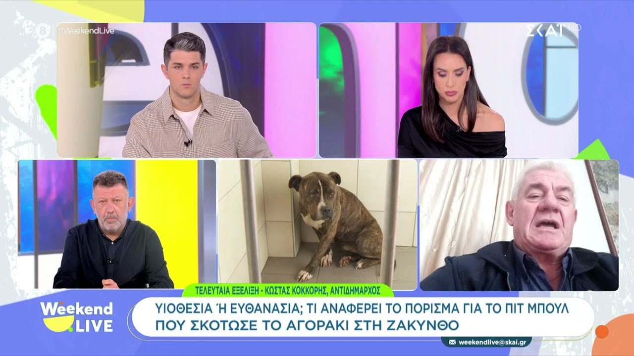 Υιοθεσία ή ευθανασία – Ποιο θα είναι το μέλλον του πιτ μπουλ που σκότωσε παιδάκι στη Ζάκυνθο