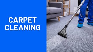 Carpet Cleaning Service Jackson Michigan