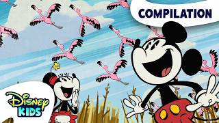 mickey explores great outdoors mickey friends atdisneykids