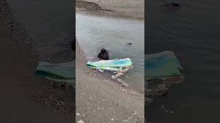 WATER POLLUTION AWARENESS