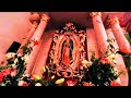 Virgen de Guadalupe | Episodio #3