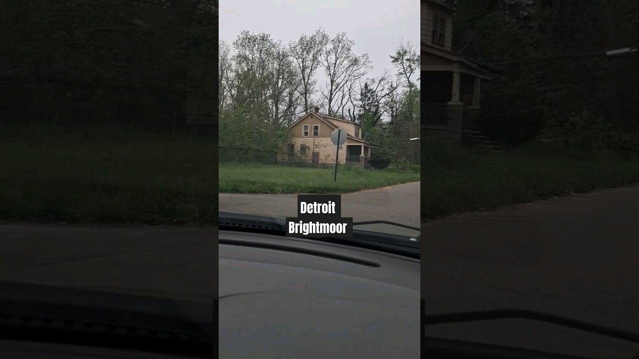 Heavily Abandoned Brightmoor Area Detroit 