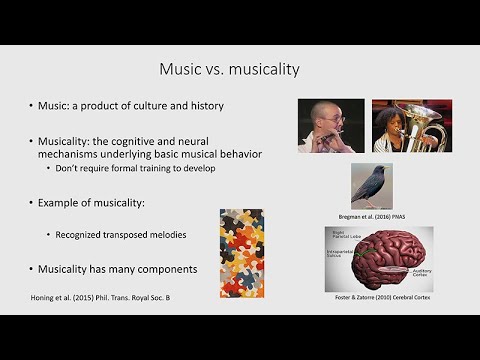 Exploring The Human-Ape Paradox: Ani Patel - Music and Gene-Culture Coevolution