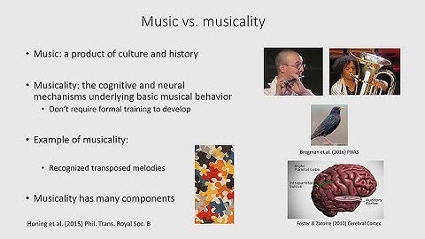Exploring The Human-Ape Paradox: Ani Patel - Music and Gene-Culture Coevolution