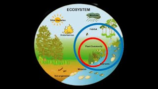Ecosystem Biomes