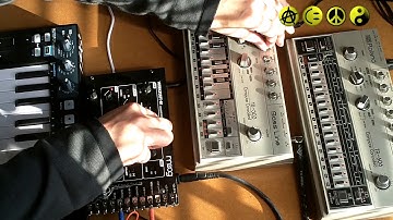 Guide to setup a Roland TB 303 with a Moog Werkstatt, Arturia Keystep, and TR-606