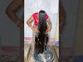 Long Hair Wash Cleaning In Water Shorts Trending Hair Hair Wash Youtubeshorts 