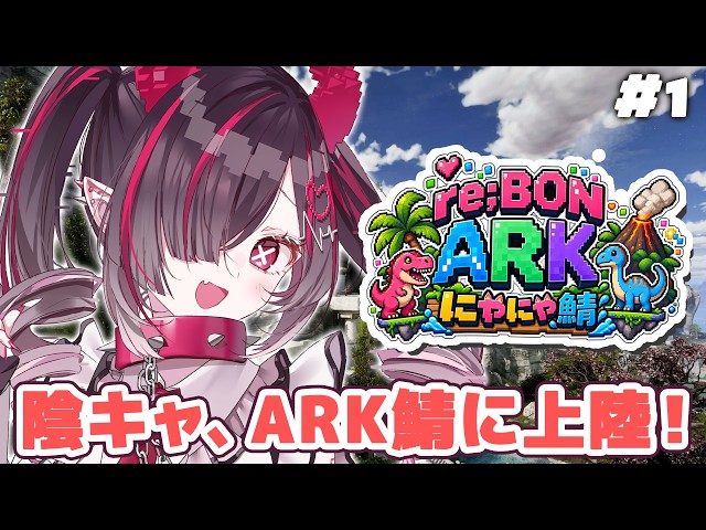 【