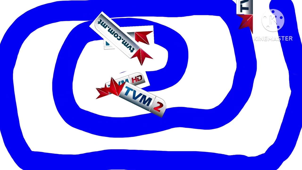 Did tvms challenge l-ahbarijiet 