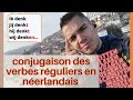 Conjugaison des verbes réguliers en néerlandais - apprendre le néerlandais pour débutants gratuit !