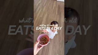 What my 17-month-old eats in a day | Toddler Meals + Snacks