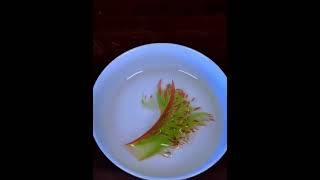 Genius 精湛刀功 #wow #genius #talent #amazing #video #shorts #shortsvideo #share #skills #good #nice